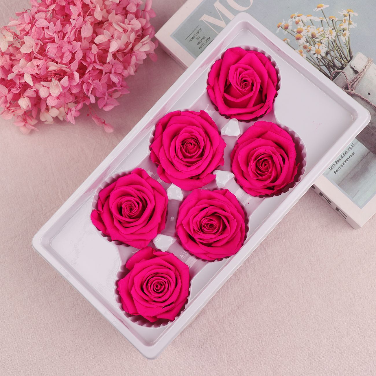 Grado una flor eterna Rosa flor preservada Rosa flor seca 5-6cm exportación calidad Yunnan fábrica al por mayor