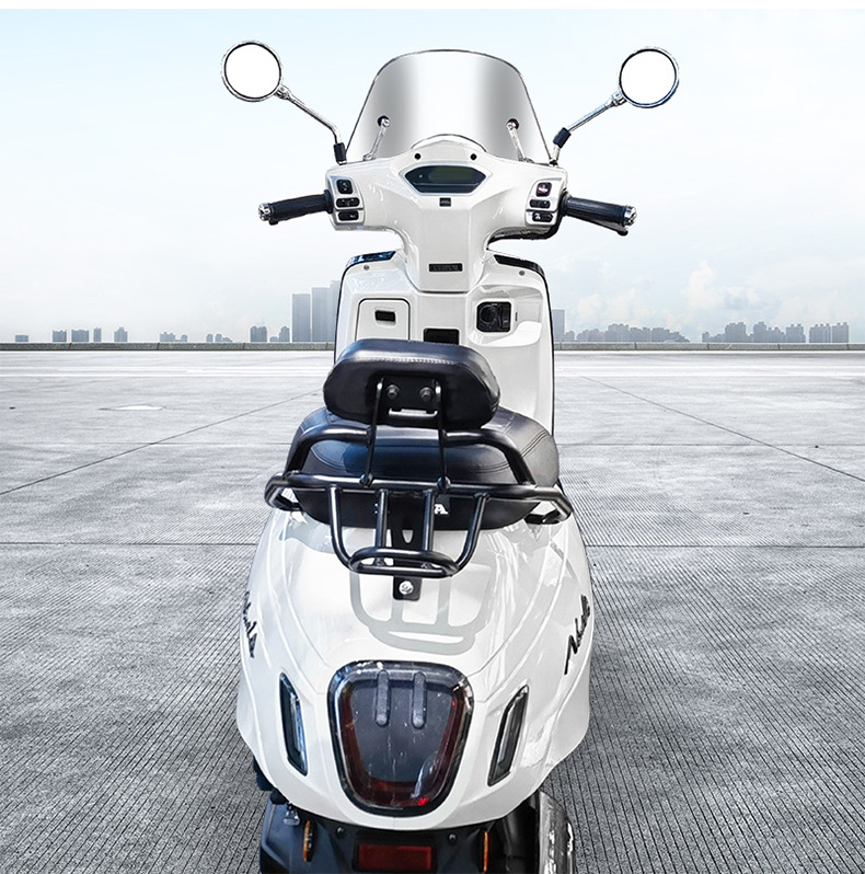 Suitable for 25 Models of New Asia Honda Ns125La Rear Backrest Ns150La Retro Seat Cushion Tail Rack Shelf