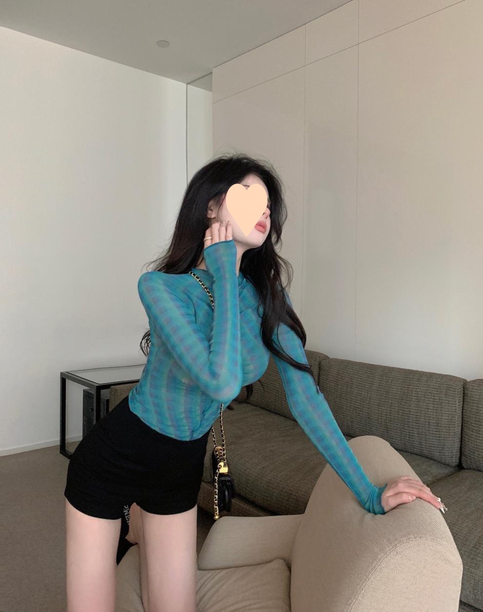 Mesh Micro Sheer Slim Fit Top - Image 1