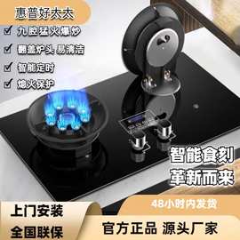 批发惠普好太太煤气灶双灶家用台嵌入式双用天然气燃气灶液化气