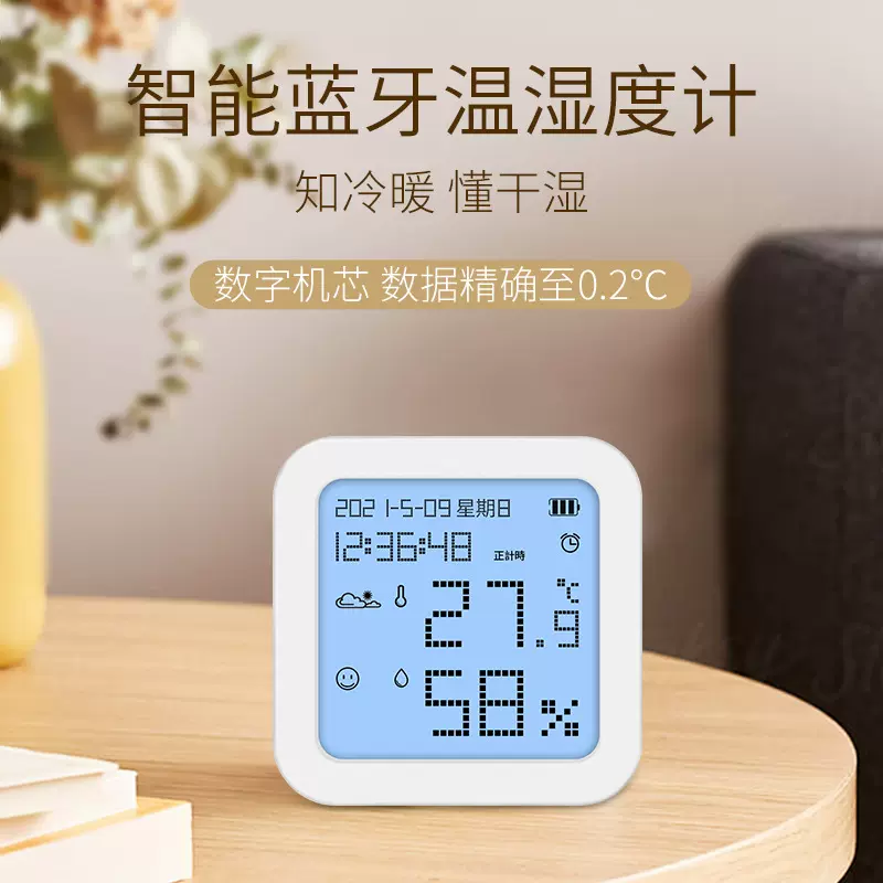 电子温湿度计蓝牙家用室内外婴儿房工业壁挂爬宠养殖干湿温度计表