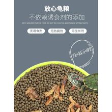 ���Z���ͨ���͞�����Ϟ������Z����~�r���~�����A�����o�}�r��