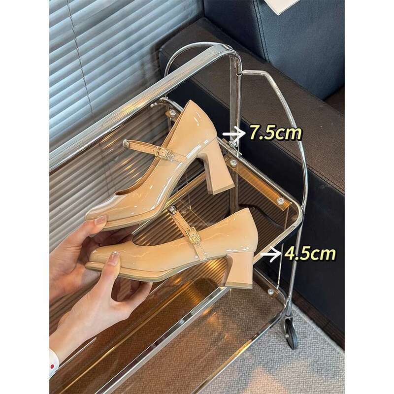 French-Style Round-Toe Chunky Heel Mary Jane Shoes for Women, 2025 Summer New Versatile Sweet Temperament Shallow Small Leather Shoes