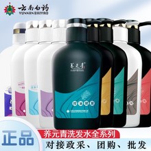 养元青500ml洗发水全品种控油健发去屑柔顺净澈多功效选择100ml