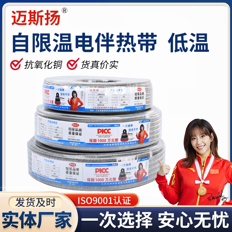 Customized temperature control electric heating strip with automatic temperature control pipeline an