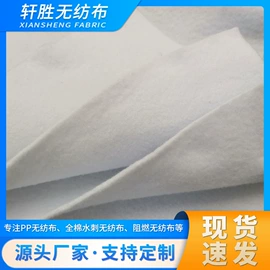 纺粘无纺布;衬布;水刺无纺布