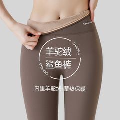 サメパンツ女性のアウターウェア 2025 新作春秋冬プラスベルベット肥厚タイトな底暖かい綿パンツヨガ冬