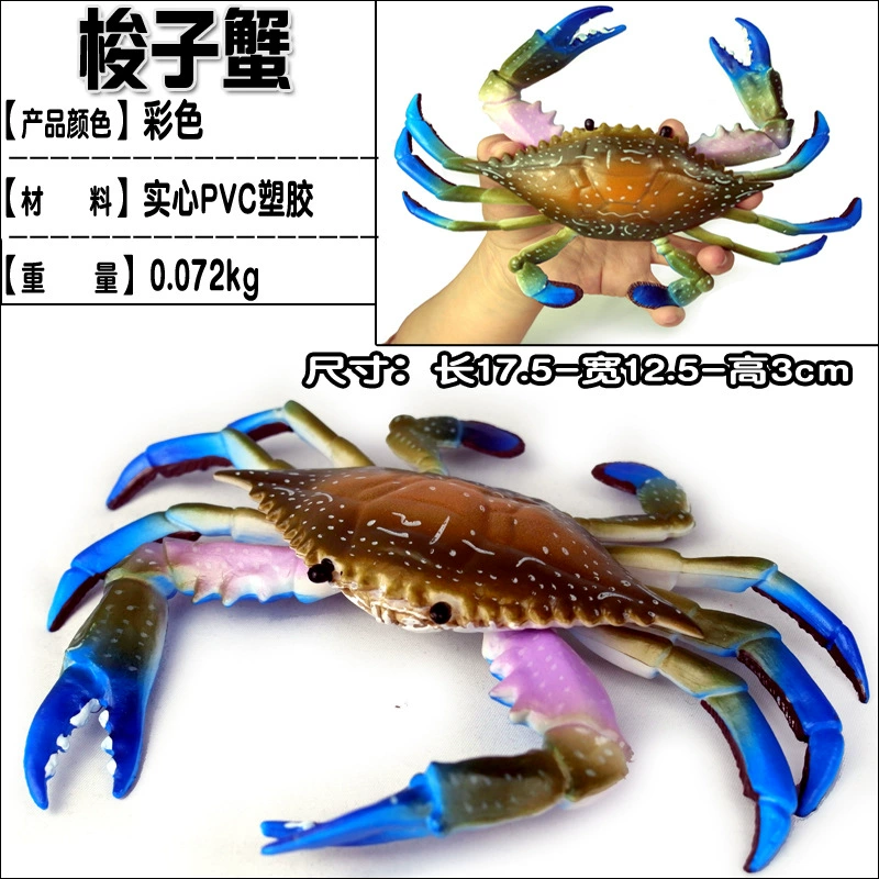 Игрушка, большие морские когнитивные украшения