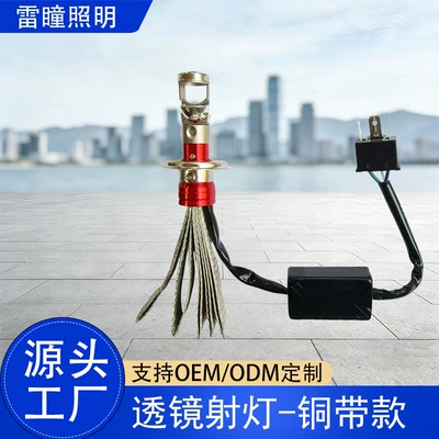 Super Bright High-Power Led Car and Motorcycle Light Bulb with Double-Sided Copper Strip, Motorcycle Light, Car Headlight