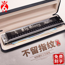 德国进口飞煌24孔复音口琴A/B/C/D/E/F/G/A#/C#/D#/F#/G#12调全套