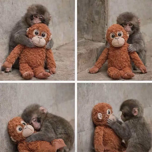 �羳�����ɹ���ë�q����L�ۺ�����ż�W�tС������ᱧ�����l