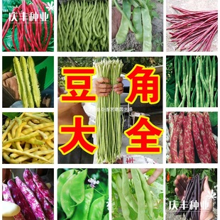 һ�����l������ȫ���ǷN���ļ����Ͷ��o�ܶ��N�ݾG�L���Ǵ������