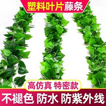 ���������~�ٗl�ٻ��bܵ������G�~�Gֲ������ϼپG�}���~�ړ�