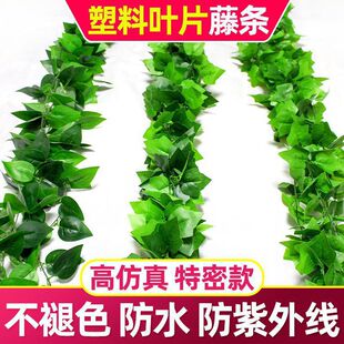 ���������~�ٗl�ٻ��bܵ������G�~�Gֲ������ϼپG�}���~�ړ�