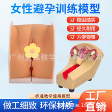 �̌WŮ����ֳ�m�i�ӌm��ꎵ��ѳ� ����ָ��ģ�� Ӌ�������D�ƙz��