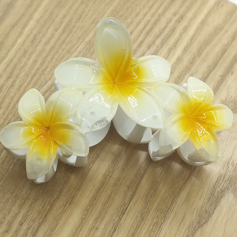 国境を越えたアマゾンの卵の花がグラデーションの花のキャンディー色の紫荊花の後頭部をつかんでサメの花を挟んで髪を伸ばします。|undefined