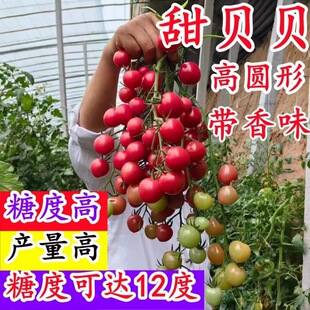 ���ҷ���ǧ���}Ů���N�������߲��ݴ����ļ��Nֲɳȿ����ͥԺ�̨