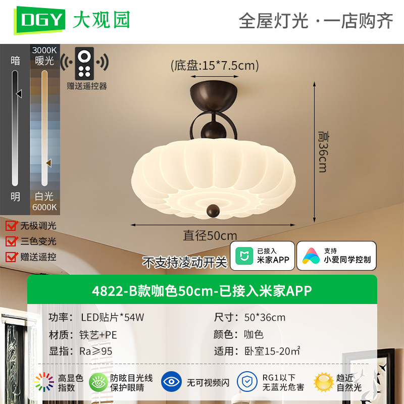 Lámpara de techo para dormitorio Grand View Garden, lámpara de dormitorio principal de estilo vintage con protección para los ojos, nueva lámpara creativa de estilo chino para sala de estudio, iluminación Zhongshan 274L.