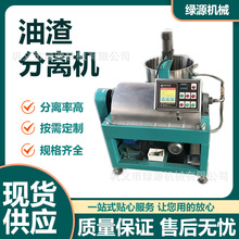 榨油油渣分离机 自榨核桃葵花籽油渣过滤分离 出油纯度纯度高