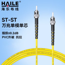 电信级单模万兆光纤跳线 单模单芯Φ3.0（ST-ST，9/125）尾纤跳纤