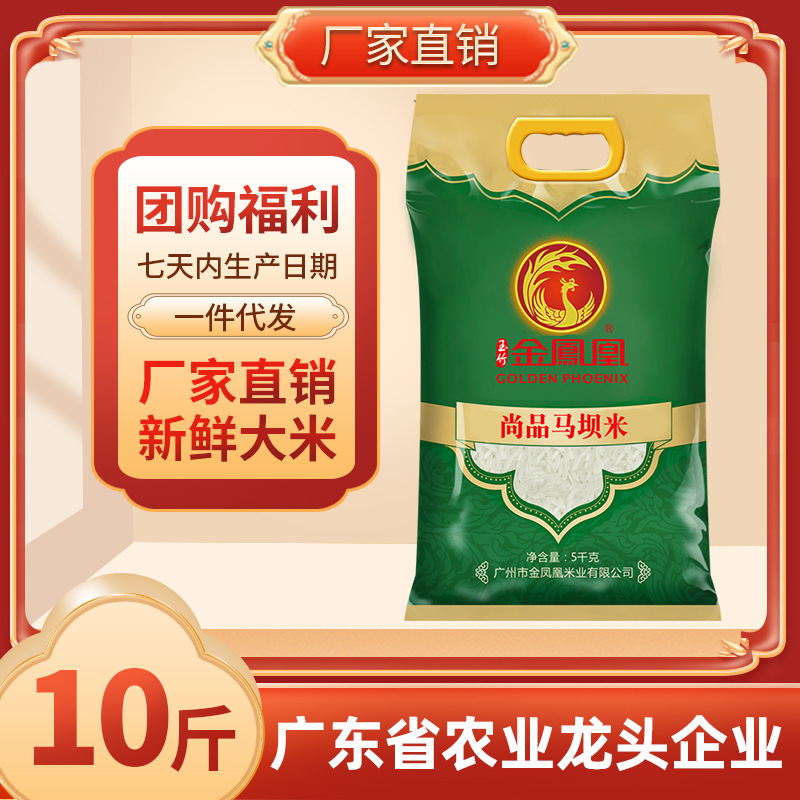 Fresh Rice Shaoguan Maba Rice 5KG Indica Rice Factory Festival Gift