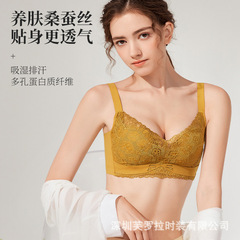 Live Stream Silk Protein Lace Adjustment Style Underwear Thin Top Thick Bottom Small Cup Push-up Bra Anti-Sag Brassiere