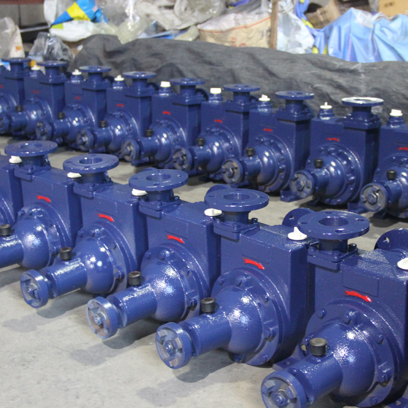 上海啸速50BPZ-40  ZB20-40-3KW 自吸加强泵增压泵卧式分体离心泵