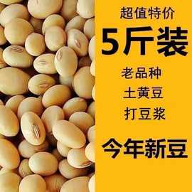 2023新货农家自种笨黄豆非转基因土黄豆老品种椭圆形黄豆打豆浆豆