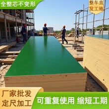 ���S���l���Bģ��Gģ����ľ����z�ϰ幤�ؽ��B����ľ���Ӱ��