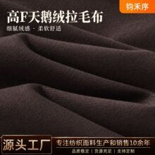 高F天鹅绒拉毛布面料服装绒布玩具抱枕针织复合面料天鹅绒辅料