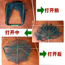 ���x���\�������~�W�r�\���r�W�O�W�\���~�\���q�S�X�\�������r�W