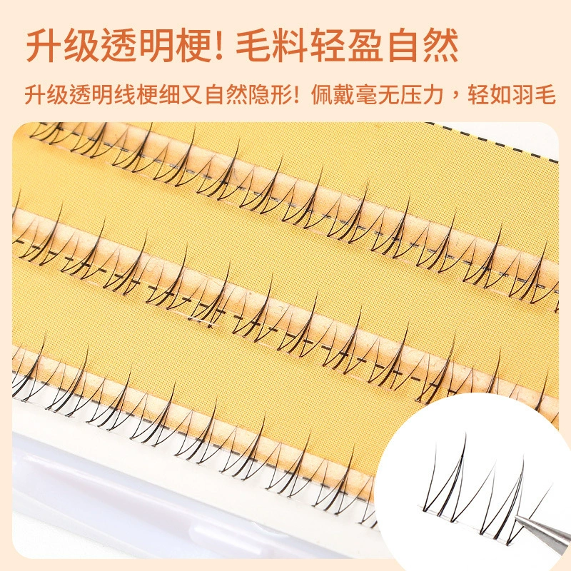 Transparent comics for eyelashes for extension, curling false eyelashes, natural volume