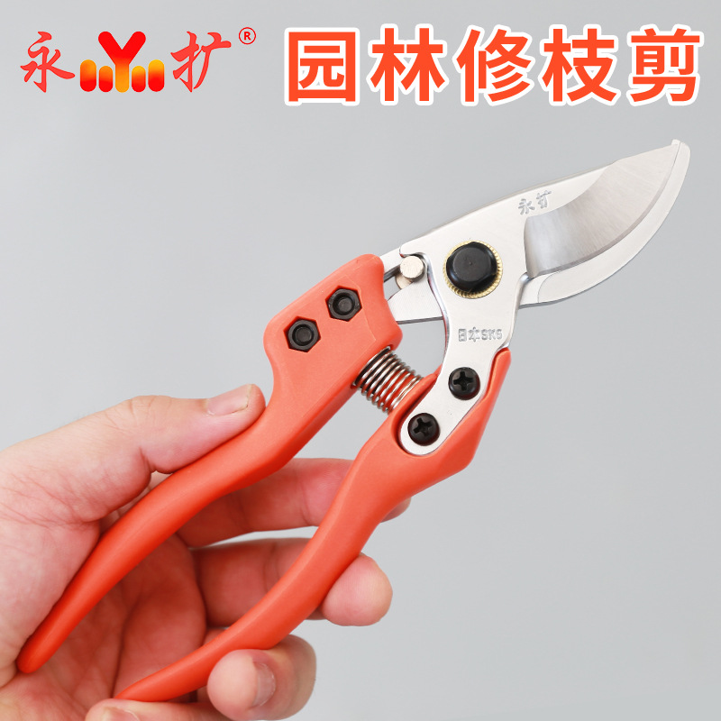 德国工艺进口修枝剪刀 果树剪 花枝剪子 园艺工具手剪 园林粗枝剪