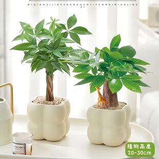 �lؔ���҃ȾGֲ����ȩ�����՚�������B�ļ����౱�W�≺���˾Gֲ