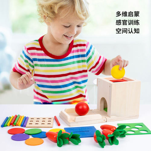 Montessori four-in-one coin box multifunctional inserting stick and pulling out carrots for young children building blocks color matching intelligence box toys