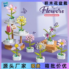 ͯСwƴeľԻõһeľģb[