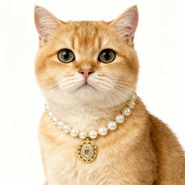 宠物珍珠项链猫猫项圈狗狗颈圈跨境水钻脖圈复古吊坠颈圈饰品批发