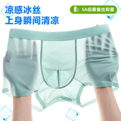Custom Ice Silk Men's Underpants Mulberry Silk 5A Antibacterial Comfort Seamless Breathable Men's Straight Leg Pants Source