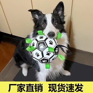 ��߹�����ҧ�␞�»�ȮС����Ȯ���ӌ�������l���l���羳