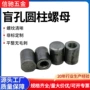 定制盲孔圆柱焊接螺母