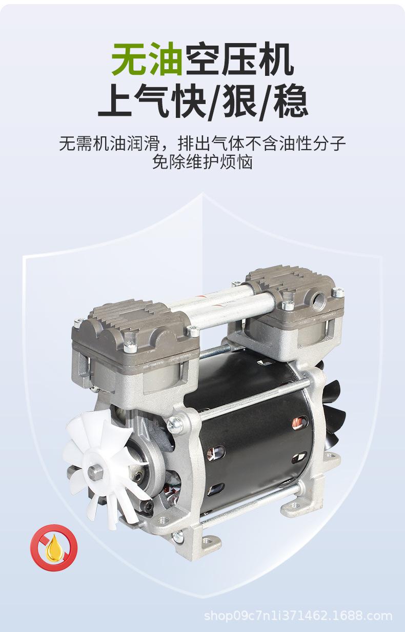 Lihao Electromechanical Ol100 Oil-Free Air Compressor 130W Large Flow Piston Type Small Positive Pressure Air Beauty Instrument