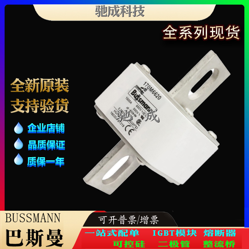 巴斯曼170M6620 170M6621 170M6629 长期批发出厂价格 紧凑熔断器