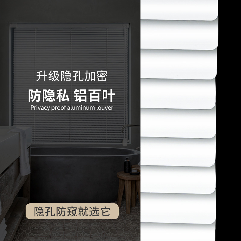 Hidden hole encryption shutter curtain non-perforated toilet bathroom bedroom office shading sunshade lifting roller shutter