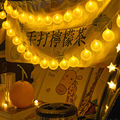 LED柠檬片灯串室内装饰灯串夜市露营氛围灯水果电池盒彩灯直销