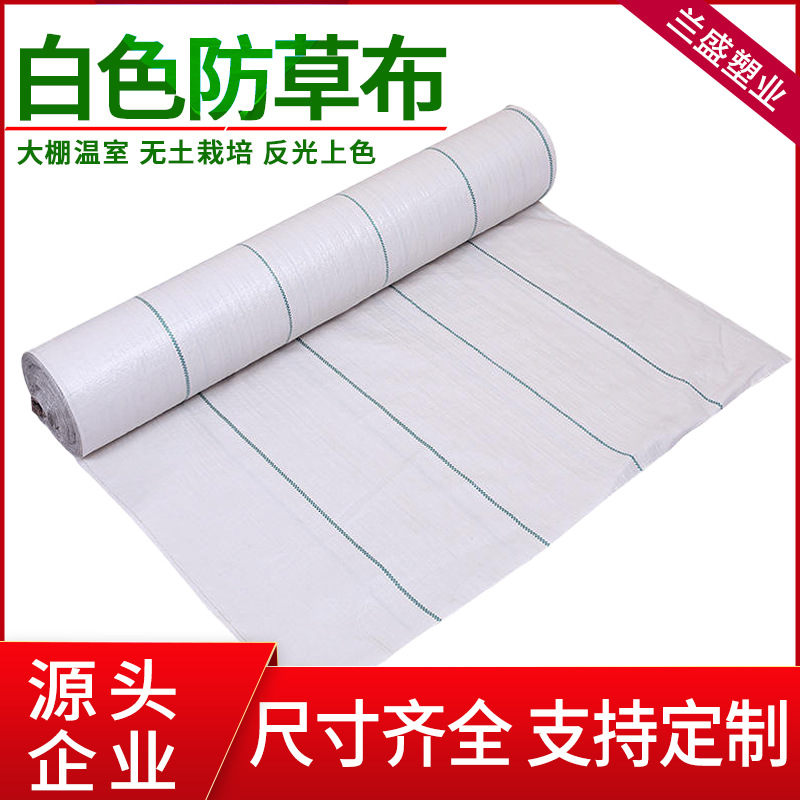 白色防草布农用花卉温室大棚果园抑草布果树透水加厚反光除草地布