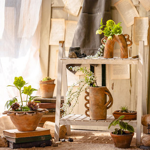 ϣ�D�t�ջ��軨���ɻ�ˇ�g��ƿ�����L�e�����ޔ[����ˇ�Ʒ