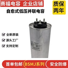 ֱِa ʽK͉ BSMJ0.45-25-3