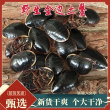 野山金边土鳖虫250g新货土别非中华土元地乌龟金边土元地鳖粉好货