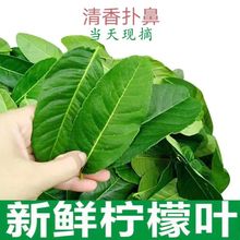 ��ˮ�����~��ꎹ�̩ʽ���� �|�ρ��͏dʳ�����rɢ�b�G�~���ßo��