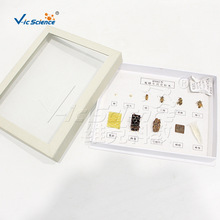 ����̌W�۷�����ʷ�˱� ���������đBչʾ �WУ����ҿ��ս̾�